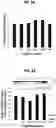 Fig. 04 - Fixatives and methods of use