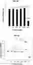 Fig. 09 - Fixatives and methods of use