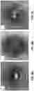 Fig. 10 - Phase wetting detection and water layer thickness characterization in multiphase oil-water and oil-water-gas flow