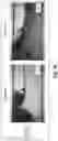 Fig. 16 - Phase wetting detection and water layer thickness characterization in multiphase oil-water and oil-water-gas flow