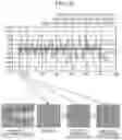 Fig. 12 - Image-processing device for gas detection, image-processing method for gas detection, and image-processing program for gas detection