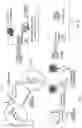 Fig. 04 - Portable wide field fluorimeter systems