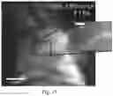 Fig. 09 - Device and method for imaging shortwave infrared fluorescence