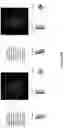 Fig. 29 - Determining tilt angle in patterned arrays of high aspect-ratio structures by small-angle x-ray scattering