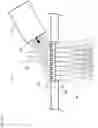 Fig. 04 - Talbot-lau x-ray source and interferometric system