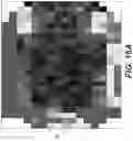 Fig. 19 - Apparatuses, methods, systems, and computer-readable media for fluid potential artifact correction in reagent delivery systems
