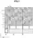 Fig. 02 - CAPACITIVE TRANSDUCER AND ULTRASONIC PROBE USING SAME