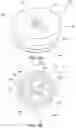 Fig. 17 - Duckbill septum