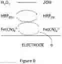 Fig. 09 - Breath-condensate device