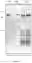Fig. 04 - SYSTEMS AND METHODS FOR DISCOVERY AND ANALYSIS OF MARKERS