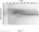 Fig. 07 - SYSTEMS AND METHODS FOR DISCOVERY AND ANALYSIS OF MARKERS