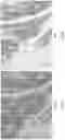Fig. 08 - HIGH PRECISION MICROPURIFICATION SYSTEM AND METHODS OF USE