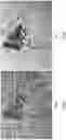 Fig. 10 - HIGH PRECISION MICROPURIFICATION SYSTEM AND METHODS OF USE