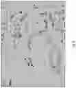 Fig. 16 - HIGH PRECISION MICROPURIFICATION SYSTEM AND METHODS OF USE