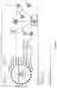 Fig. 08 - Hypoxic NK cells and methods therefor