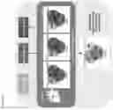 Fig. 07 - BIOMARKERS FOR CELLULAR SENESCENCE