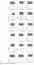 Fig. 11 - BIOMARKERS FOR CELLULAR SENESCENCE