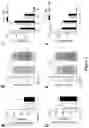 Fig. 05 - LEUKOCYTE ADHESIVE FUNCTION ASSAYS, DEVICES AND/OR USES