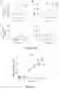 Fig. 12 - LEUKOCYTE ADHESIVE FUNCTION ASSAYS, DEVICES AND/OR USES