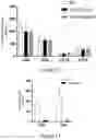 Fig. 13 - LEUKOCYTE ADHESIVE FUNCTION ASSAYS, DEVICES AND/OR USES