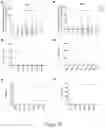 Fig. 19 - LEUKOCYTE ADHESIVE FUNCTION ASSAYS, DEVICES AND/OR USES