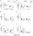 Fig. 26 - LEUKOCYTE ADHESIVE FUNCTION ASSAYS, DEVICES AND/OR USES