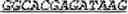 Fig. 07 - Methods and kits for detecting a fusion messenger RNA transcript or a polypeptide encoded by the fusion messenger RNA transcript