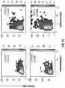 Fig. 37 - Analyte detection method