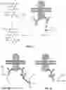 Fig. 03 - METHODS OF ASSESSING PROTEIN INTERACTIONS BETWEEN CELLS