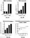 Fig. 12 - METHODS OF ASSESSING PROTEIN INTERACTIONS BETWEEN CELLS