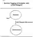 Fig. 09 - On-surface mass tagging