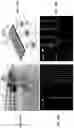 Fig. 13 - Microfluidic system and method for real-time measurement of antibody-antigen binding and analyte detection