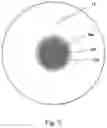 Fig. 04 - SUPERPARAMAGNETIC AND HIGHLY POUROUS POLYMER PARTICLES FOR DIAGNOSTIC APPLICATIONS