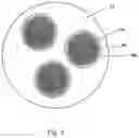Fig. 05 - SUPERPARAMAGNETIC AND HIGHLY POUROUS POLYMER PARTICLES FOR DIAGNOSTIC APPLICATIONS