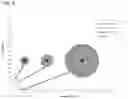 Fig. 06 - SUPERPARAMAGNETIC AND HIGHLY POUROUS POLYMER PARTICLES FOR DIAGNOSTIC APPLICATIONS