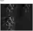 Fig. 04 - DIAGNOSTIC