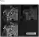 Fig. 05 - DIAGNOSTIC