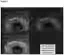 Fig. 06 - DIAGNOSTIC