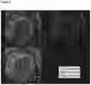 Fig. 07 - DIAGNOSTIC