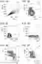 Fig. 04 - EFFECTOR TYPE REGULATORY T CELL DETECTING METHOD, EFFECTOR TYPE REGULATORY T CELL ANALYZING DEVICE, EFFECTOR TYPE REGULATORY T CELL ANALYZING SYSTEM, AND NON-TRANSITORY STORAGE MEDIUM