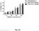Fig. 16 - HLA G-modified cells and methods