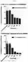 Fig. 06 - COMPOSITIONS AND METHODS FOR TARGETING CANCER STEM CELLS