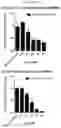 Fig. 07 - COMPOSITIONS AND METHODS FOR TARGETING CANCER STEM CELLS