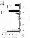 Fig. 05 - METHOD FOR THE PROGNOSIS OF SURVIVAL TIME OF A PATIENT SUFFERING FROM A SOLID CANCER