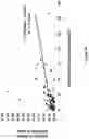 Fig. 07 - METHOD FOR THE PROGNOSIS OF SURVIVAL TIME OF A PATIENT SUFFERING FROM A SOLID CANCER