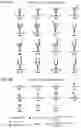 Fig. 04 - Cleavable probes for isotope targeted glycoproteomics and methods of using the same