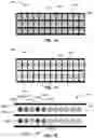 Fig. 17 - Light ranging device with electronically scanned emitter array and synchronized sensor array
