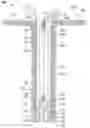 Fig. 01 - Mitigation of attenuation for fiber optic sensing during cementing