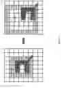 Fig. 12 - Method and device for object recognition and analysis