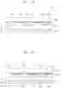 Fig. 15 - Low refractive layer and electronic device including the same